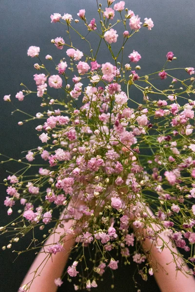 Bouquet Gypsophila Hands Dark Background — Stock Photo, Image