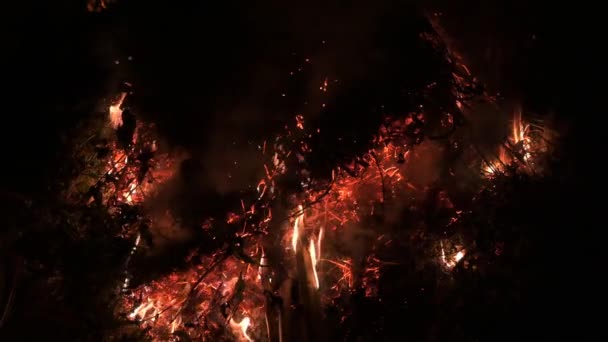 Φλόγες Φωτιάς Σπινθήρες Και Καπνός Φλεγόμενα Καυσόξυλα Νύχτα Επιβράδυνση Της — Αρχείο Βίντεο