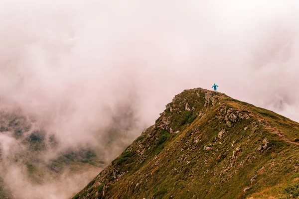 絵のように雄大な山雲の中の山 グティン トムナティーク 雄大なカルパティアの神秘と神秘 2020 — ストック写真
