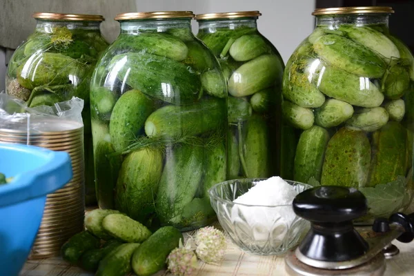 Preserved Cucumbers Home City Cucumbers 2018 — Stock Photo, Image