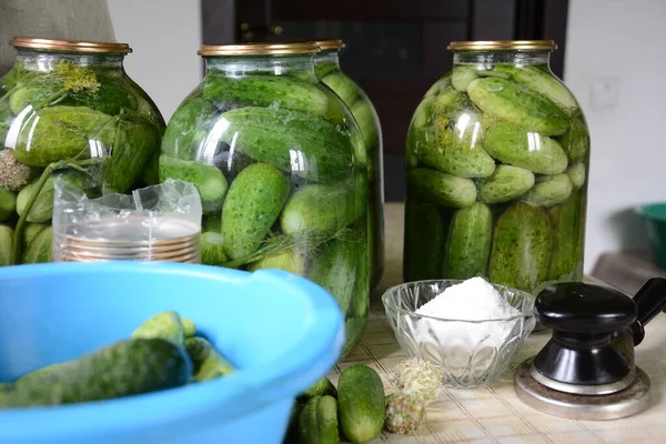 Pepinos Preservados Casa Sua Cidade Pepinos 2018 — Fotografia de Stock