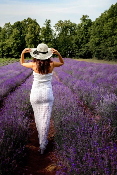 Ein Spaziergang Dirndl Auf Einem Lavendelfeld Ein Gemütlicher Ruhiger Und — Stockfoto
