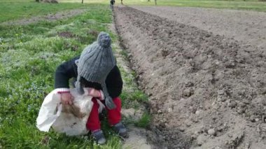 Küçük beyaz bir kız annesine baharda patates ekmesi için yardım ediyor. Otantik bir Avrupa köyünde tarım.