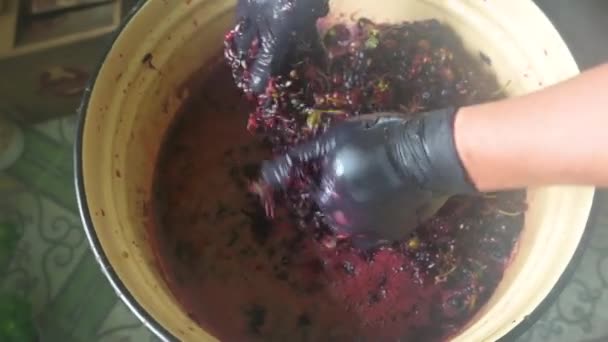 Ένας αγρότης με μαύρα γάντια συνθλίβει ένα τσούρμο σταφύλια από κοντά. Η τέχνη της παρασκευής σπιτικού κρασιού με το χέρι. — Αρχείο Βίντεο