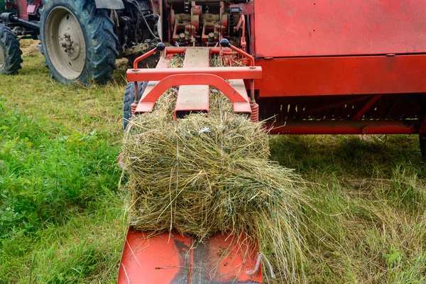 가축을 건초를 수확하는 들판에서 바닥짐을 만드는 트랙터 2020 — 스톡 사진