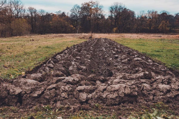 Beet Der Gegend Mit Gepflügtem Ackerland Pflügen Des Landes Für — Stockfoto