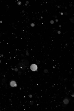 Siyah arkaplandaki Bokeh beyaz kar. Kar yağışı - yeni tasarım ögesi.
