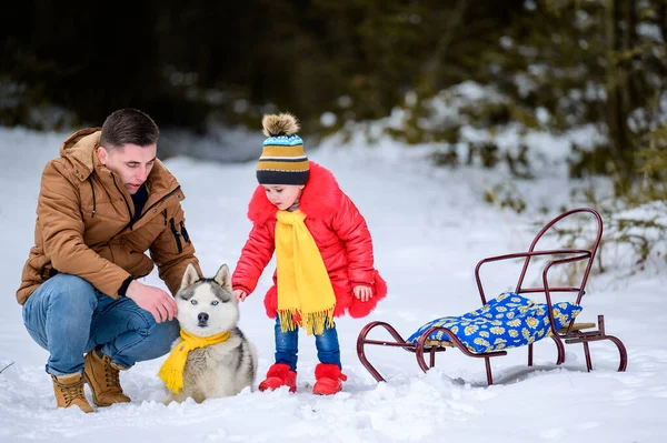 Caminhada Família Floresta Inverno Com Huskies Filha Feliz Pai Brincando — Fotografia de Stock