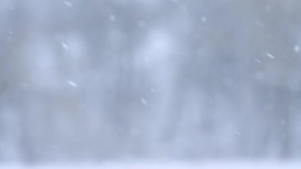 Zeitlupe fallender Schnee, verschwommener Hintergrund im Winter, märchenhafte Jahreszeit. — Stockvideo