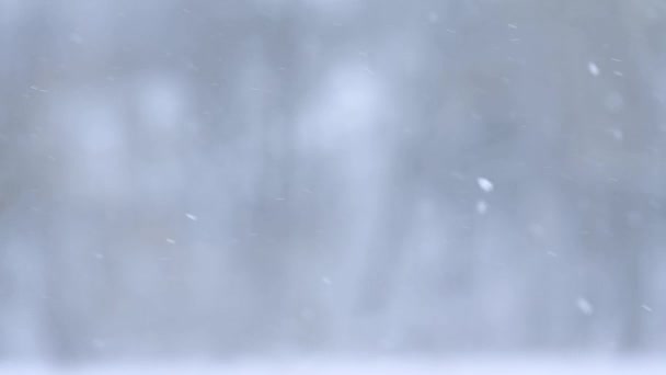 雪が降る、冬に背景がぼやけている、素晴らしい季節のスローモーション. — ストック動画