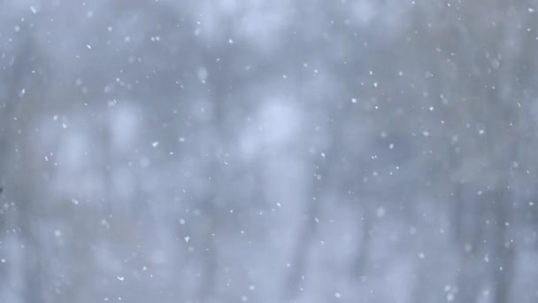 Fenomeno naturale in inverno, neve e vento che soffia, vista dalla finestra della casa nel villaggio, rallentatore di fiocchi di neve, video al rallentatore. — Video Stock