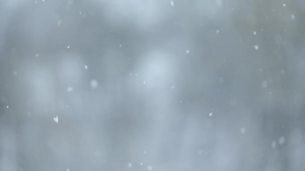 Повільний рух сніжинок, зима в селі, вид на снігопад з вікна, розмитий рух і боке . — стокове відео