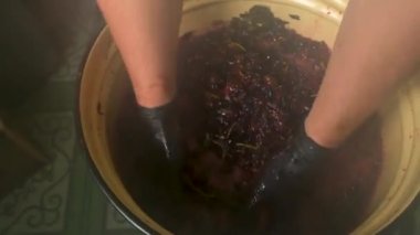 Siyah eldivenli çiftçi bir sürü üzümü ezer. El yapımı şarap yapma zanaatı..
