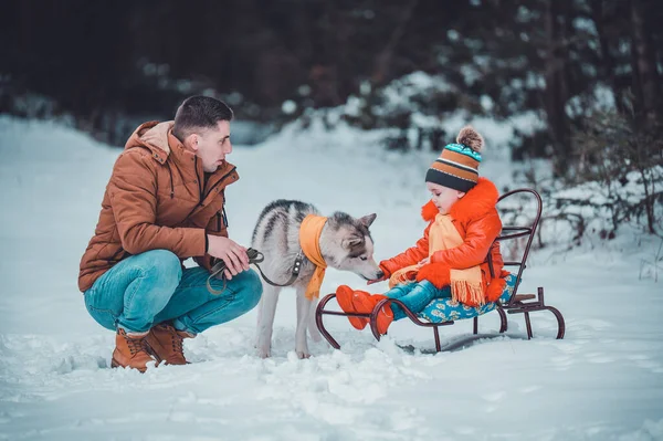 Winterspiele Vater Und Tochter Mit Haustier Husky Und Seinen Besitzern — Stockfoto