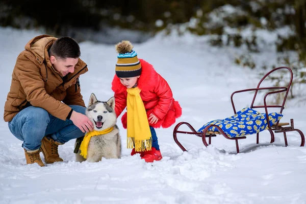 Caminhada Família Floresta Inverno Com Huskies Filha Feliz Pai Brincando — Fotografia de Stock