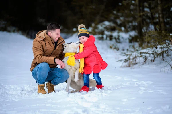 Pai Feliz Filha Pequena Cão Husky Floresta Inverno Andando Winter — Fotografia de Stock