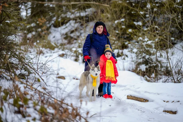 Ein Waldspaziergang Mit Großmutter Und Enkelin Mit Hund — Stockfoto