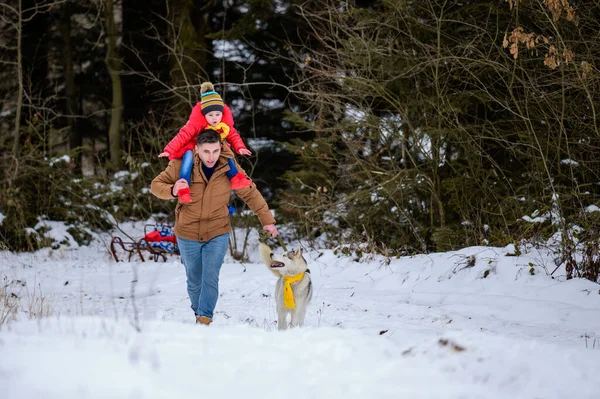 Família Feliz Passeio Floresta Com Husky Correndo Com Cão Jogos — Fotografia de Stock