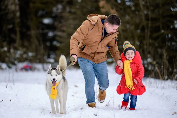 Husky Lenço Amarelo Com Proprietário Sua Filha Andando Floresta Inverno — Fotografia de Stock