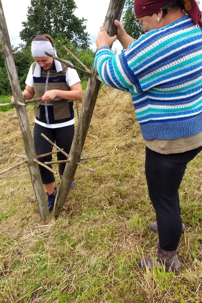 干し草作りの季節になると2人の村の女性が畑で働き 干し草を乾かすための木の支援を準備しています 2021年 — ストック写真