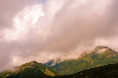 Karadağ 'ın Karpatlar' daki tepesinin büyüleyici bulutlu manzarası, Gutin Tomnatych, Karpatlar 'ın yaz yağmurundan sonraki resimli manzaraları. 2020