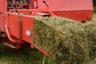 Balyalara saman basmak, eski çalışma basını, hasat etmek ve kuru yem toplamak. 2020