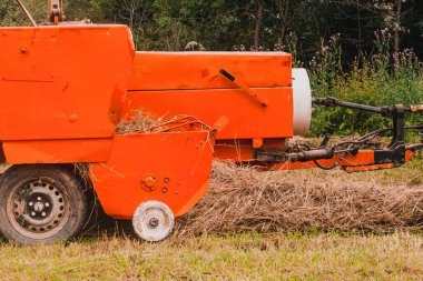 Traktör tarlada kuru saman toplar, saman ütüler, balya ütüler, tarlada çalışır. 2020