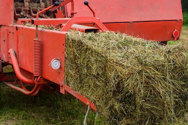 Balyalara saman basmak, eski çalışma basını, hasat etmek ve kuru yem toplamak. 2020