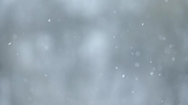 Movimiento lento de copos de nieve, invierno en el pueblo, vista de nevadas desde la ventana, movimiento borroso y bokeh. — Vídeos de Stock