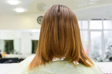 Taranmış ve donuk orta boy saçlar, saç boyama için hazırlık. yeni