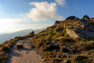 Üç genç turist, iki küçük çocuk ve bir genç Karadağ sırtı boyunca Carpathian dağlarının zirvesinde yürüyorlar. 2020