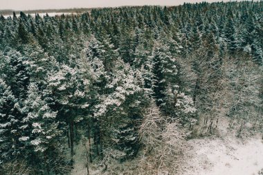 Kış bitmeyen orman, hava manzaralı doğa manzarası, karla kaplı ağaçlar. yeni