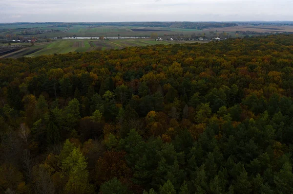 Фотография Леса Сделанная Беспилотником Прекрасный Осенний Пейзаж Лиственных Лесов Тернопольской — стоковое фото