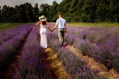 Kokulu lavanta, bir lavanta tarlası, bir çocuğun doğmasını bekleyen mutlu bir çiftin yürüyüşü. yeni