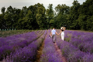Kokulu lavanta, bir lavanta tarlası, bir çocuğun doğmasını bekleyen mutlu bir çiftin yürüyüşü. yeni
