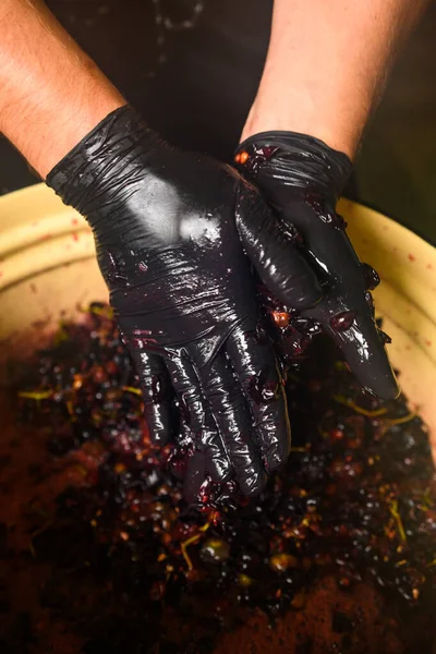 Grape juice squeezed by hand at home, wine production at home, squeezing the juice by hand.