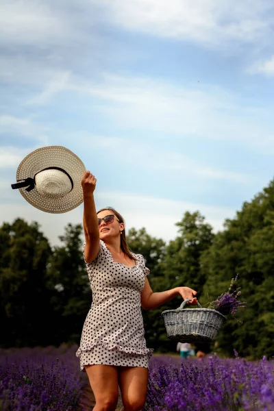 Junge Lavendelbüsche Fröhliche Und Glückliche Frau Geht Durch Ein Lavendelfeld — Stockfoto