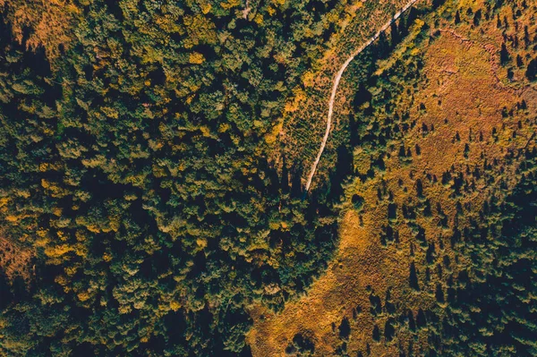 Vista Superior Los Bosques Ucranianos Región Rivne Volando Sobre Túnel — Foto de Stock