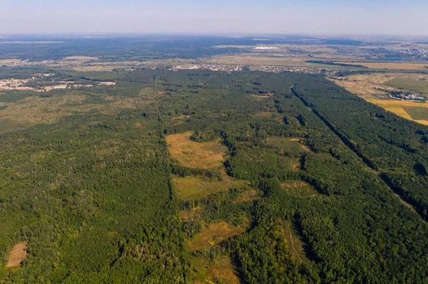 Lokale Ontbossing Luchtontbossing Oekraïense Bossen Vernietiging Daarvan Nieuw — Stockfoto