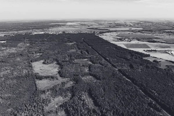 Vuelo Sobre Bosques Campos Ucranianos Bosques Pintorescos Destruidos Deforestación Gran — Foto de Stock