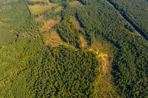 Vista Superior Los Bosques Ucranianos Región Rivne Volando Sobre Túnel —  Fotos de Stock