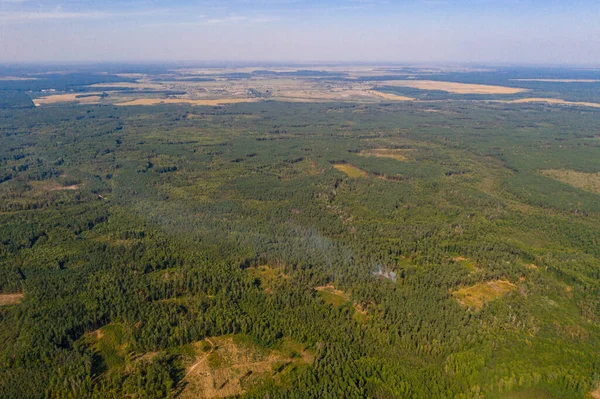 Знищення Лісів Широкомасштабне Знищення Лісів Руйнування Навколишнього Середовища Погіршення Навколишнього — стокове фото