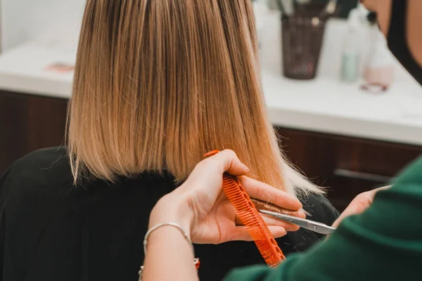 Cuidado Del Cabello Peluquería Corta Las Puntas Corte Del Cabello —  Fotos de Stock