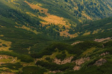 Karpatların tepesindeki büyük taşlar, destansı ve nefes kesici bir manzara. 2020