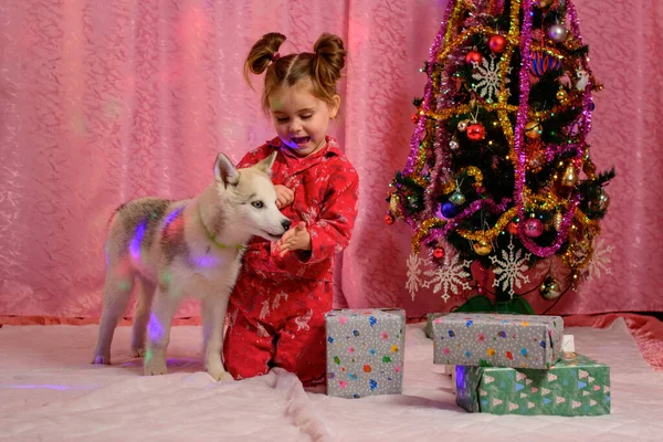 Menina Bonito Com Filhote Cachorro Husky Brincando Perto Árvore Natal — Fotografia de Stock