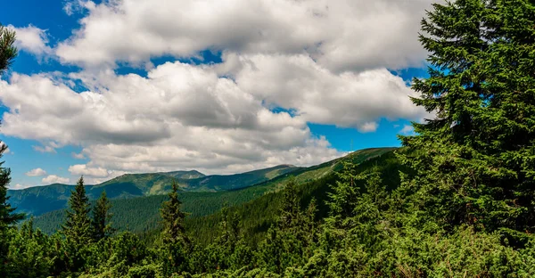 Karpatská Krajina Panoramatický Výhled Karpatské Hory Hřeben Černé Hory Nový — Stock fotografie