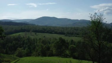 Ukrayna 'nın Karpatlar' ında bir çayırda uçmak, güneşli bir sonbahar günü..