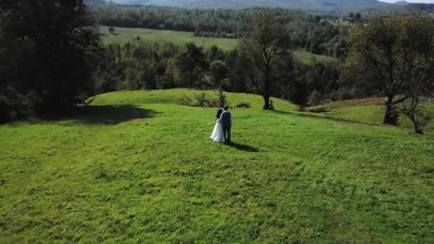 Pistyn dorp Oekraïne oktober 10, 2020: bruiden lopen in de weide in de Karpaten. — Stockvideo