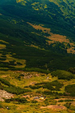 Karpatlar 'da Brebeneskul Gölü yakınlarındaki turistler göle doğru yol alıyorlar. yeni