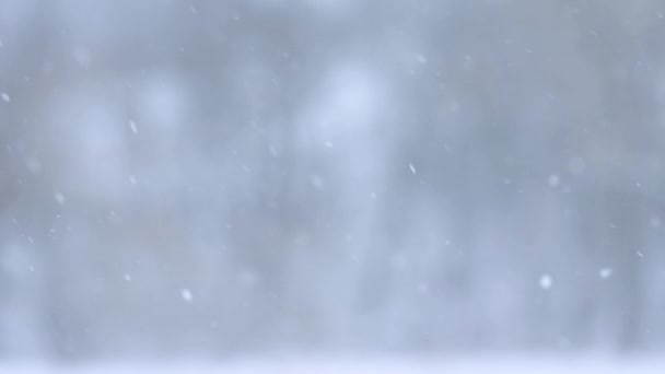 눈이 내리는 느린 움직임, 겨울의 흐릿 한 배경, 환상적 인 계절. — 비디오